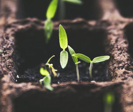 Gallery gardener gallery 1