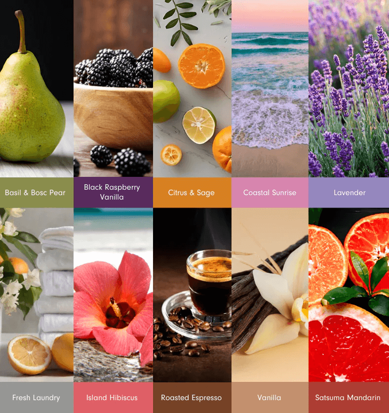 sweet fruity women’s perfume – oem private label fragrance