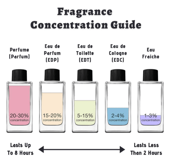 fragrance concentration chart eau de parfum vs eau de toilette